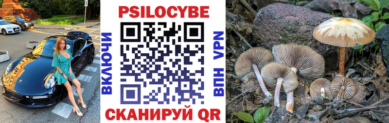 где купить наркоту  Вышний Волочёк  Псилоцибиновые грибы прущие грибы 